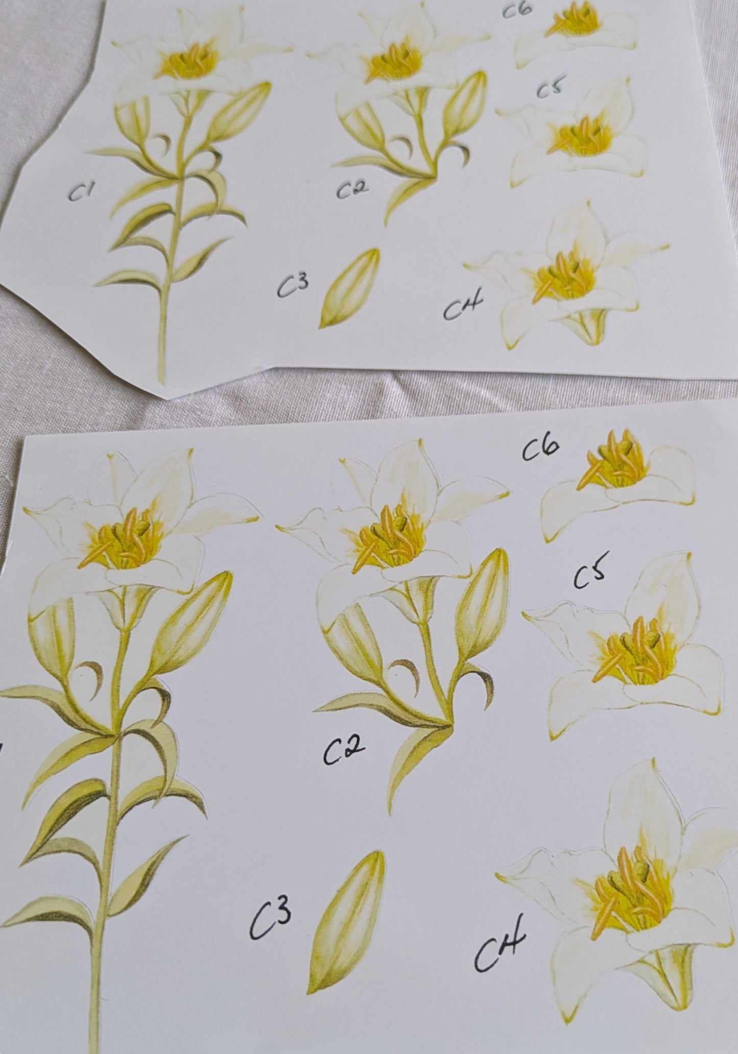 BUY 2 6X6 INCH 3D CARD KITS SALE ON TWO ITEMS PLUS ACROSS MY SHOP P&P INCLUDED TO UK CODE 193