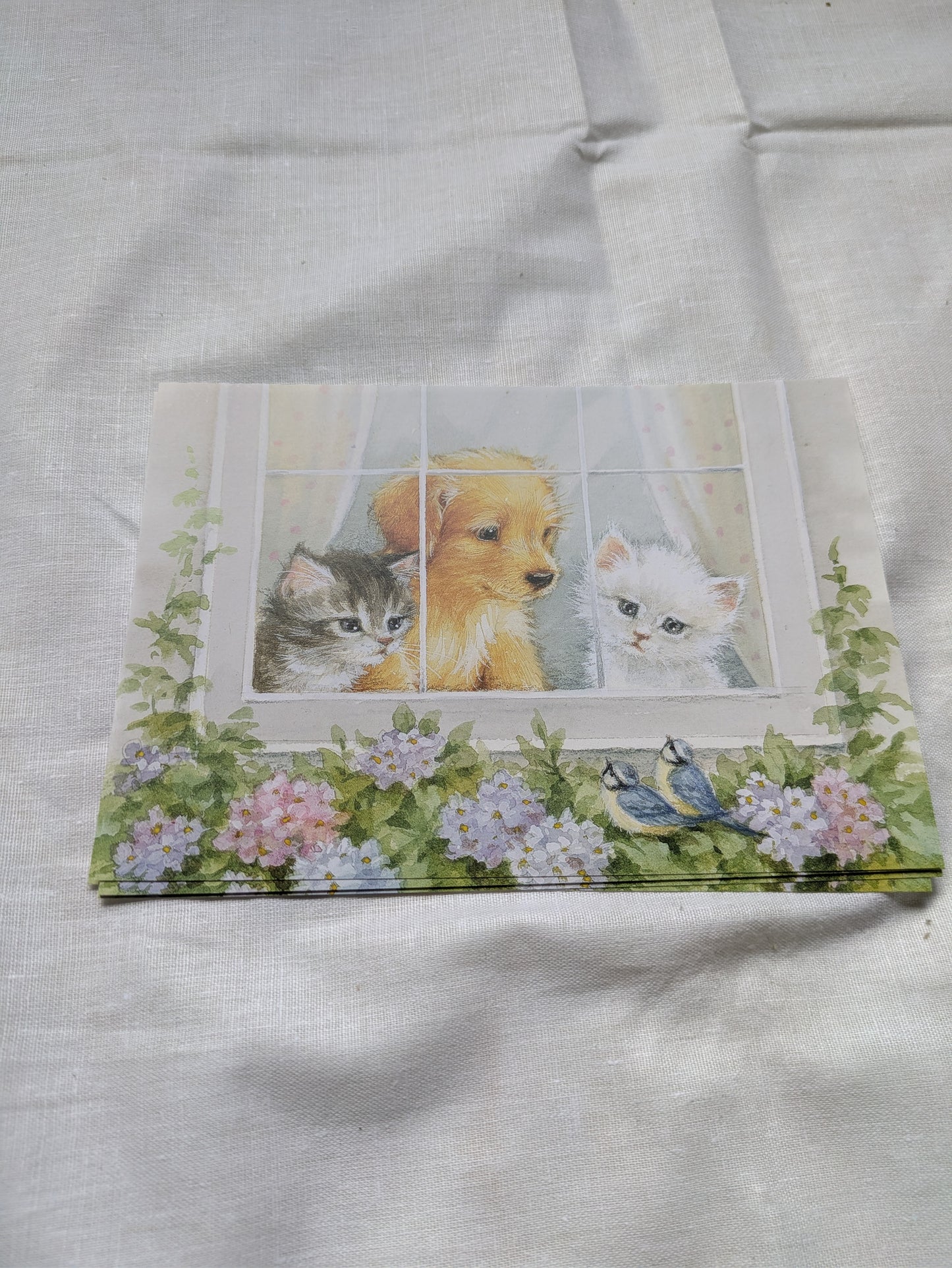 BUY 2 6X6 INCH CARD KITS SALE ON TWO ITEMS PLUS ACROSS MY SHOP P&P INCLUDED CODE 156