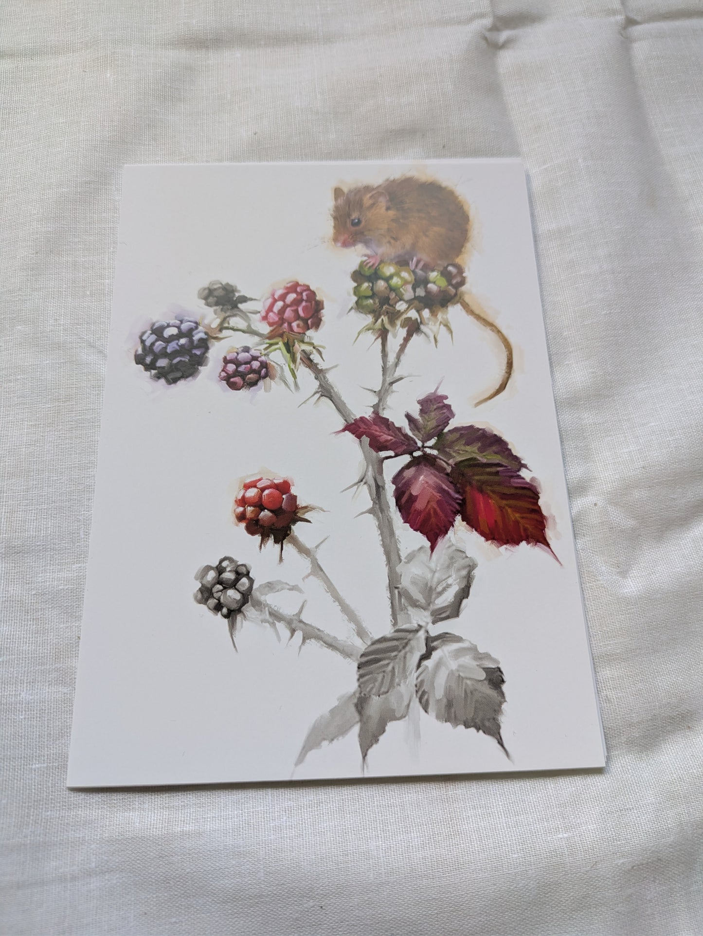 BUY 2 6X6 INCH CARD KITS SALE ON TWO ITEMS PLUS ACROSS MY SHOP P&P INCLUDED CODE 158