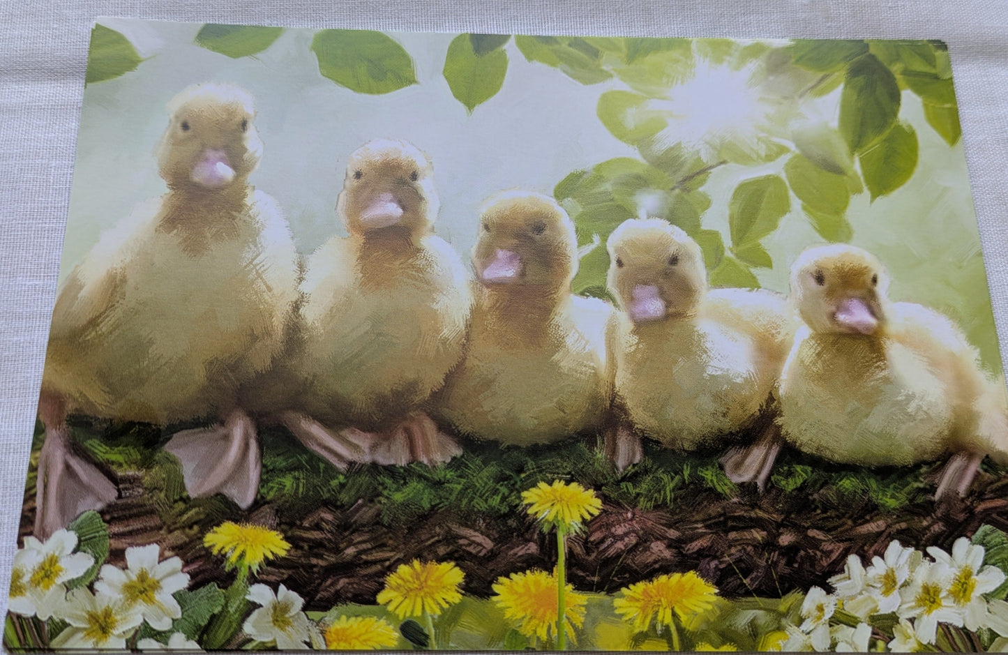 BUY 2 6X6 INCH CARD KITS SALE ON TWO ITEMS PLUS ACROSS MY SHOP P&P INCLUDED TO UK CODE 247