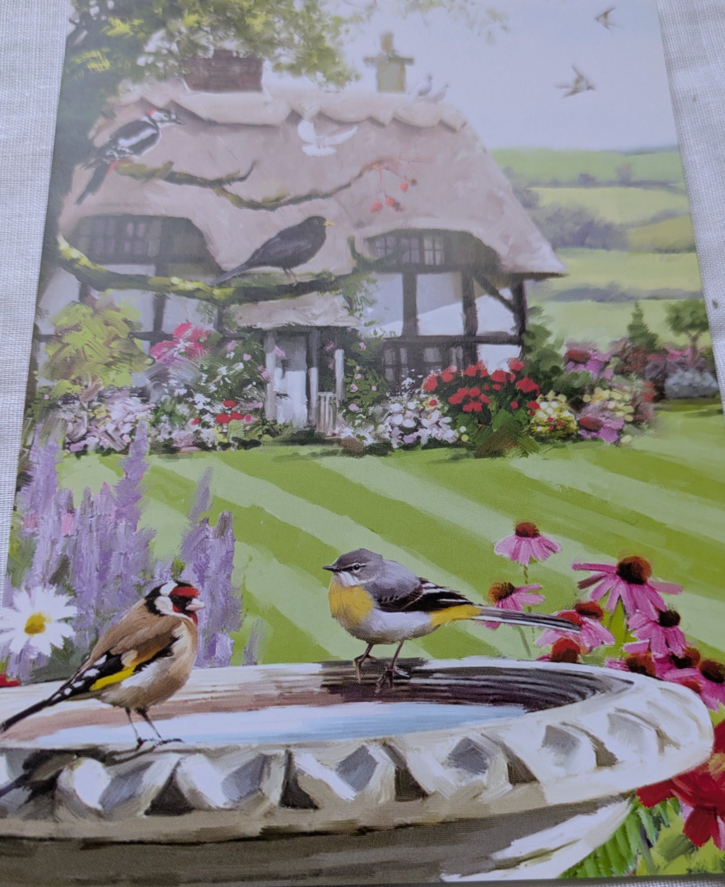 BUY 2 6X6 INCH CARD KITS SALE ON TWO ITEMS PLUS ACROSS MY SHOP P&P INCLUDED TO UK CODE 260
