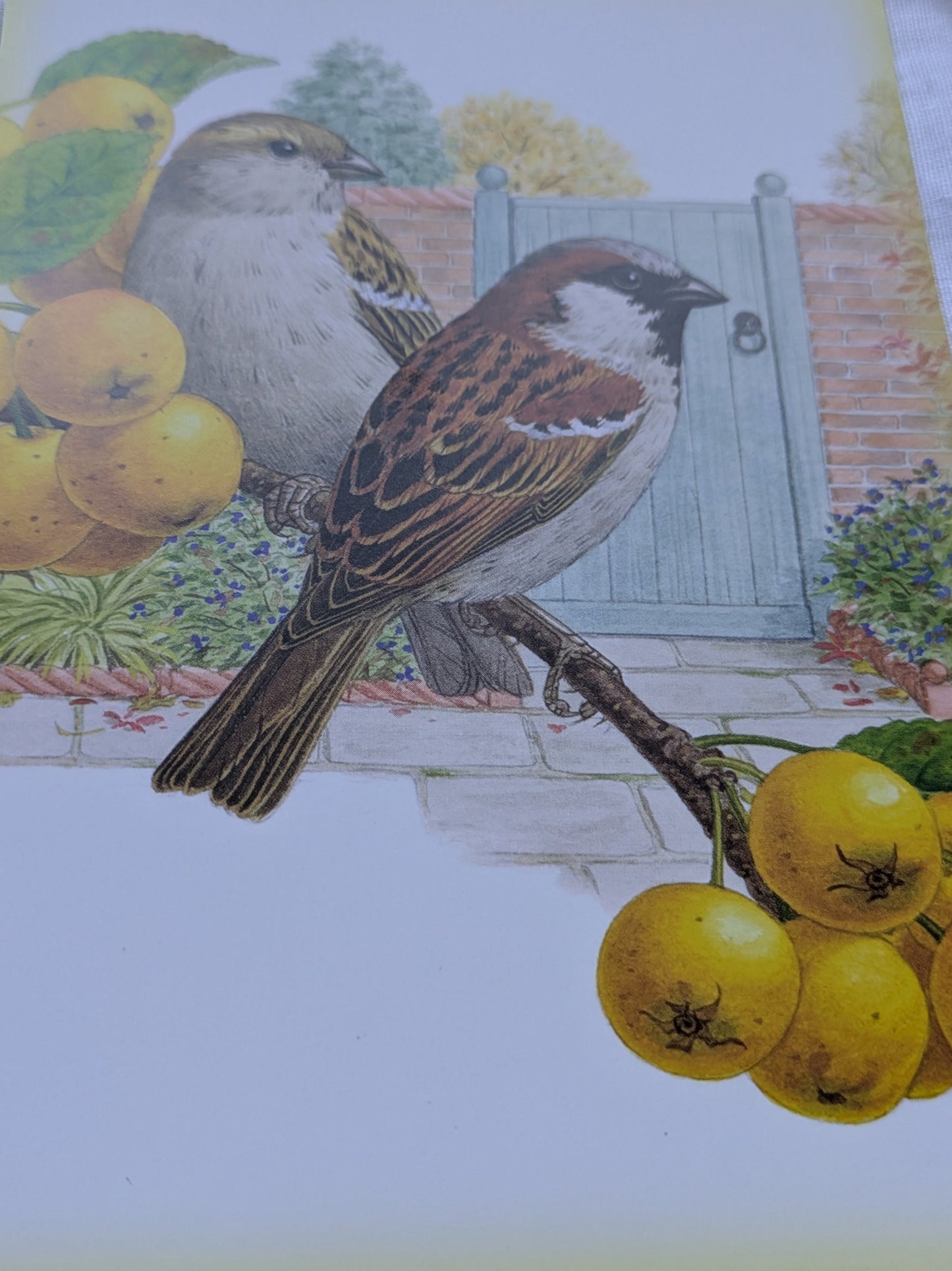 BUY 2 6X6 INCH CARD KITS SALE ON TWO ITEMS PLUS ACROSS MY SHOP P&P INCLUDED TO UK CODE 272