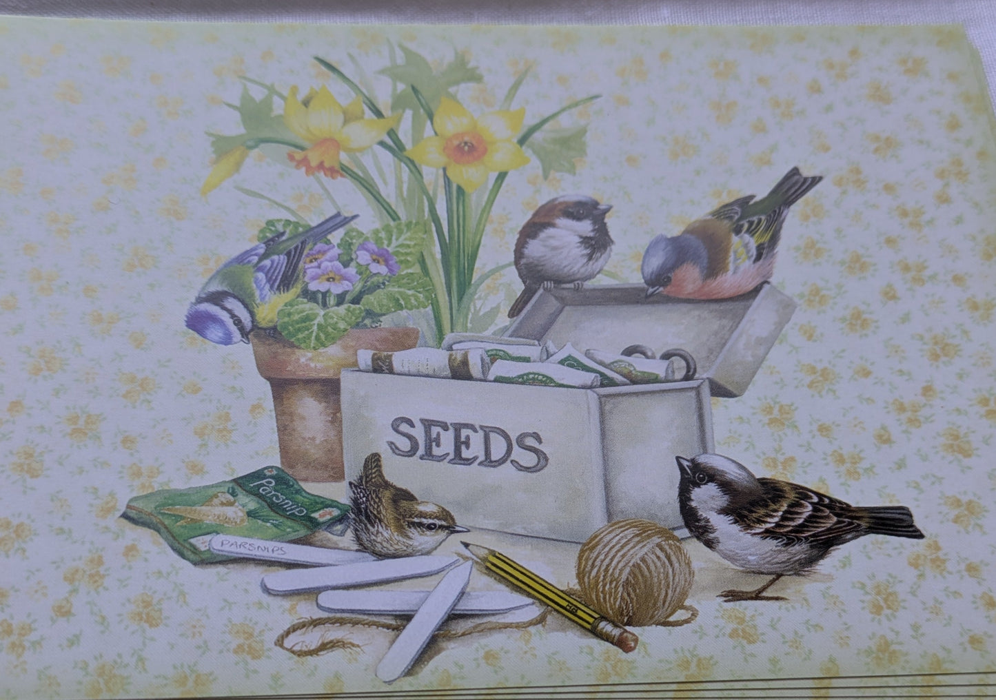 BUY 2 6X6 INCH CARD KITS SALE ON TWO ITEMS PLUS ACROSS MY SHOP P&P INCLUDED TO UK CODE 274