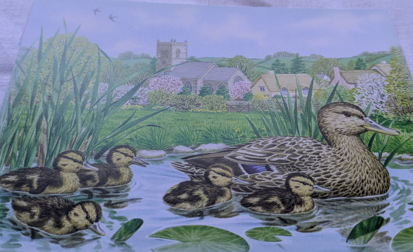 BUY 2 6X6 INCH CARD KITS SALE ON TWO ITEMS PLUS ACROSS MY SHOP P&P INCLUDED TO UK CODE 278