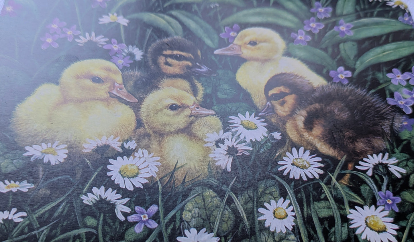 BUY 2 6X6 INCH CARD KITS SALE ON TWO ITEMS PLUS ACROSS MY SHOP P&P INCLUDED TO UK CODE 281