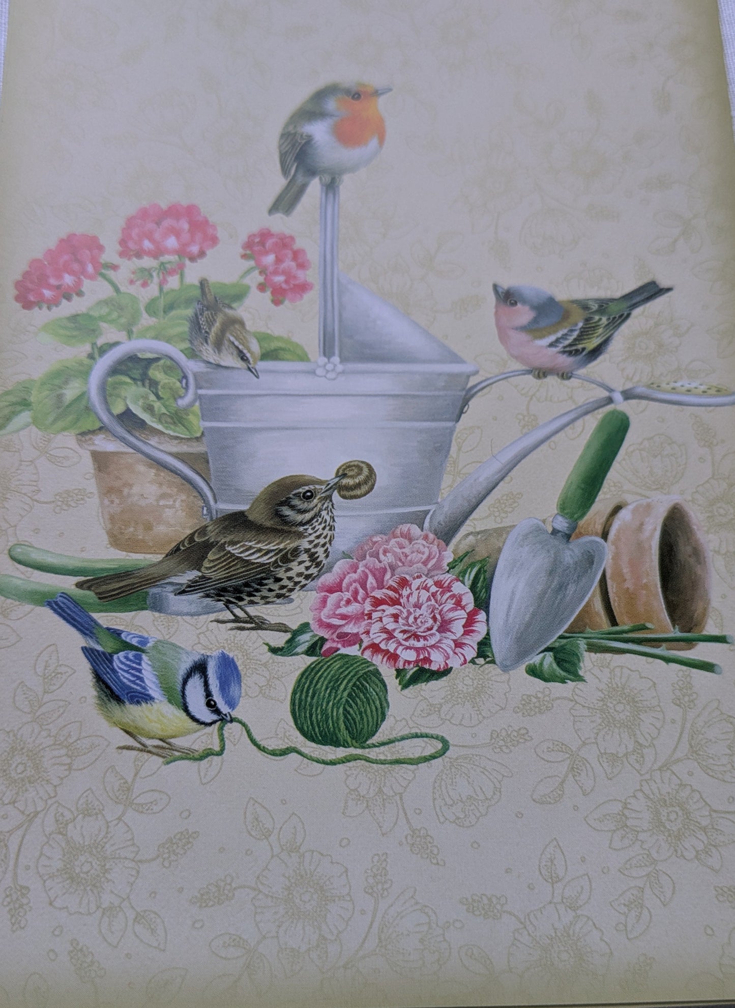 BUY 2 6X6 INCH CARD KITS SALE ON TWO ITEMS PLUS ACROSS MY SHOP P&P INCLUDED TO UK CODE 287