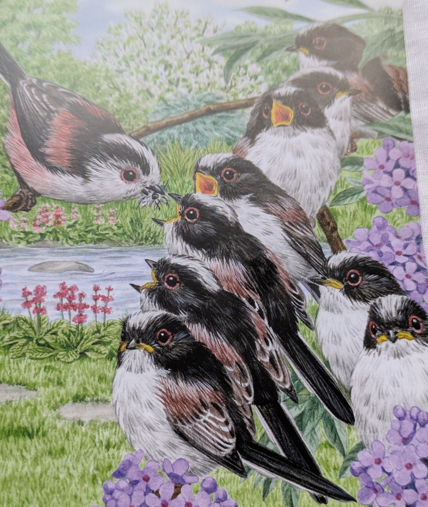 BUY 2 6X6 INCH CARD KITS SALE ON TWO ITEMS PLUS ACROSS MY SHOP P&P INCLUDED TO UK CODE 296