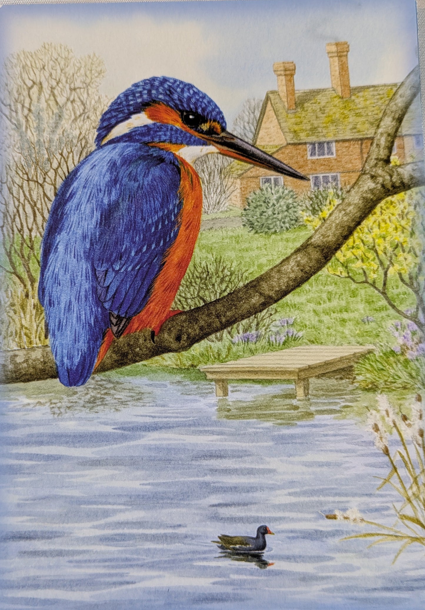 BUY 2 6X6 INCH CARD KITS SALE ON TWO ITEMS PLUS ACROSS MY SHOP P&P INCLUDED TO UK CODE 298