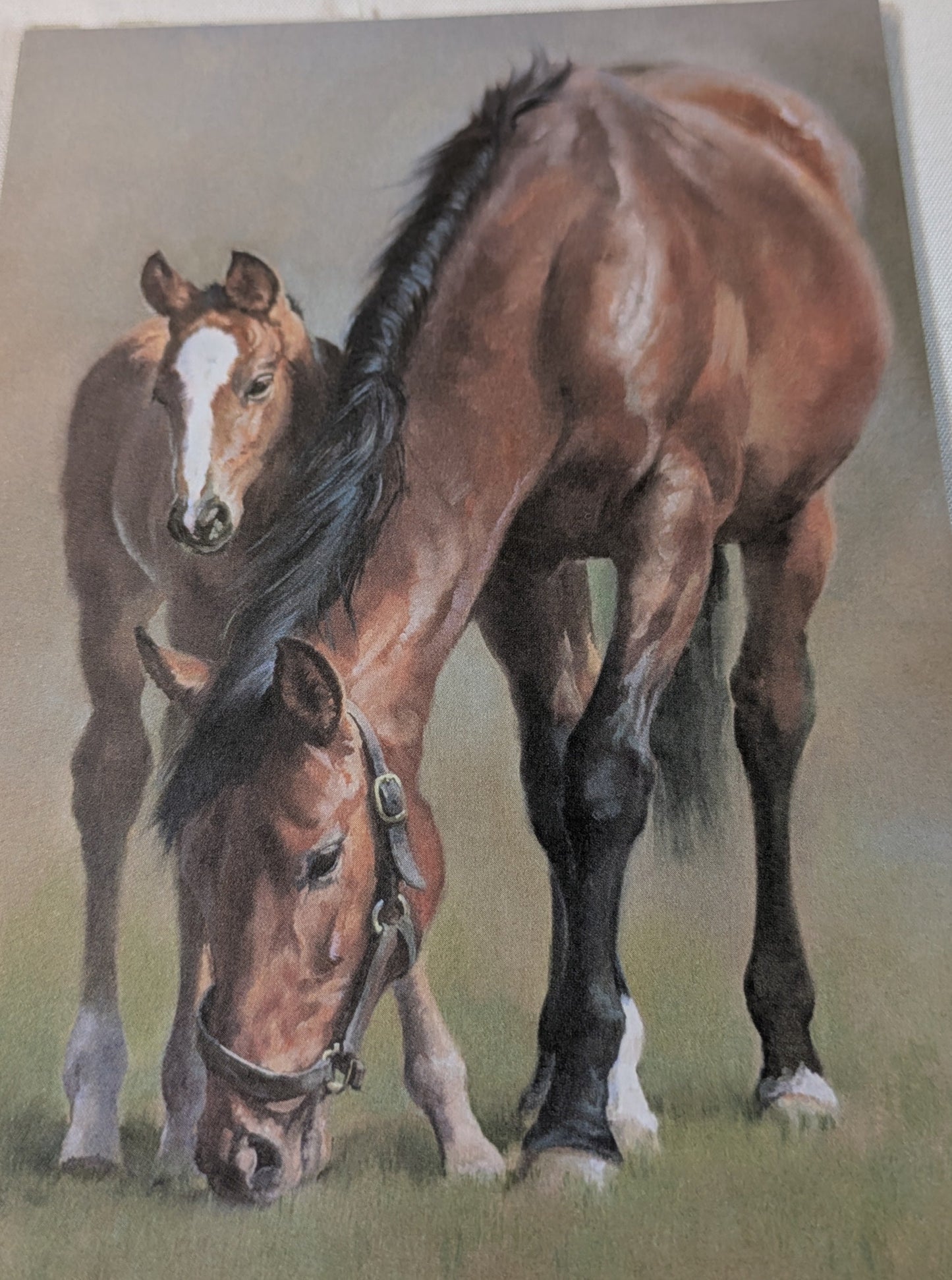 BUY 2 6X6 INCH CARD KITS SALE ON TWO ITEMS PLUS ACROSS MY SHOP P&P INCLUDED TO UK CODE 318