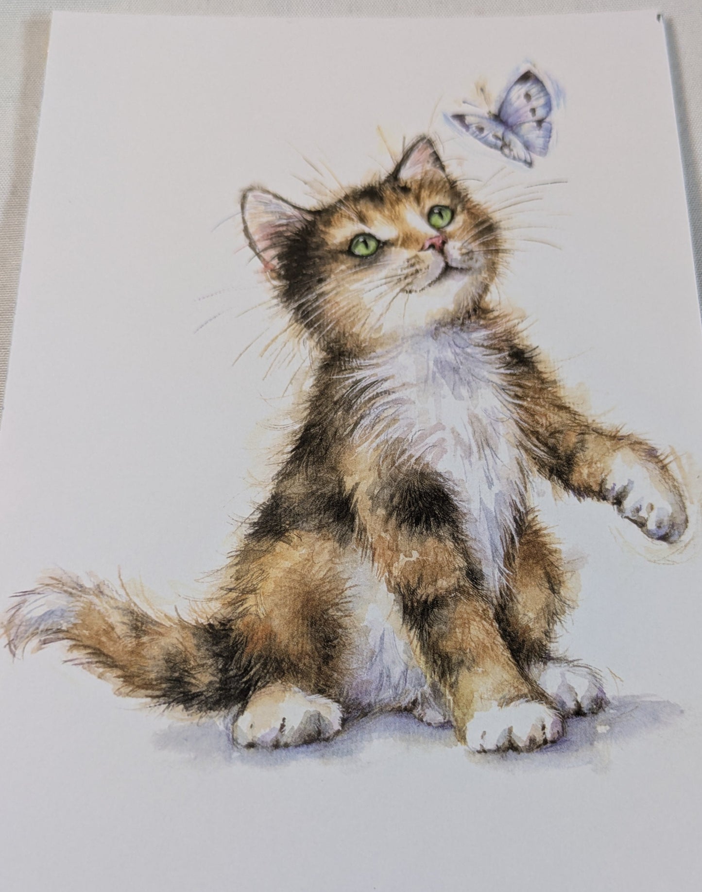 BUY 2 6X6 INCH CARD KITS SALE ON TWO ITEMS PLUS ACROSS MY SHOP P&P INCLUDED TO UK CODE 329