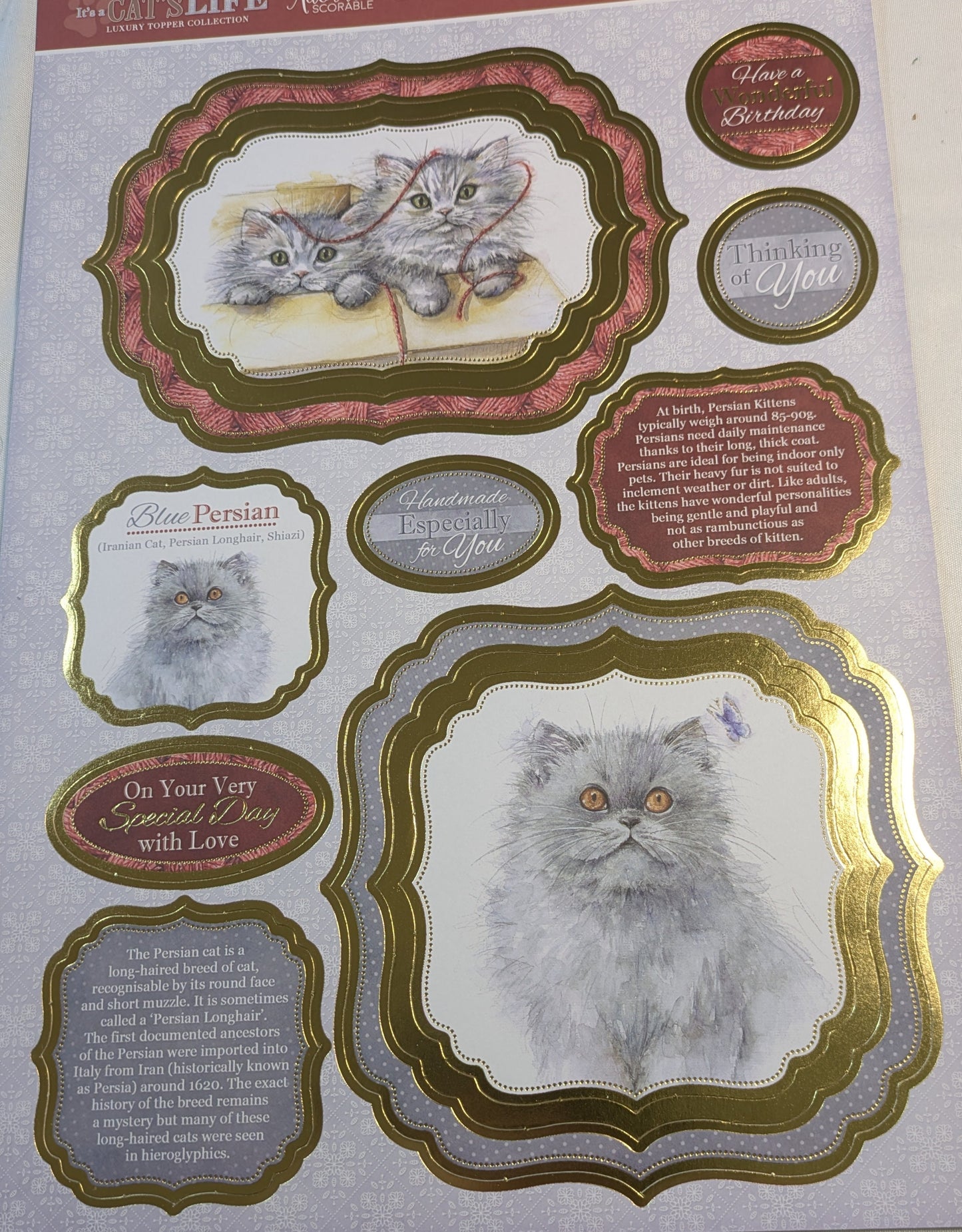 BUY 1 A4 SHEET WITH 2 CARDS SALE ON TWO ITEMS PLUS ACROSS MY SHOP P&P INCLUDED TO UK CODE 68