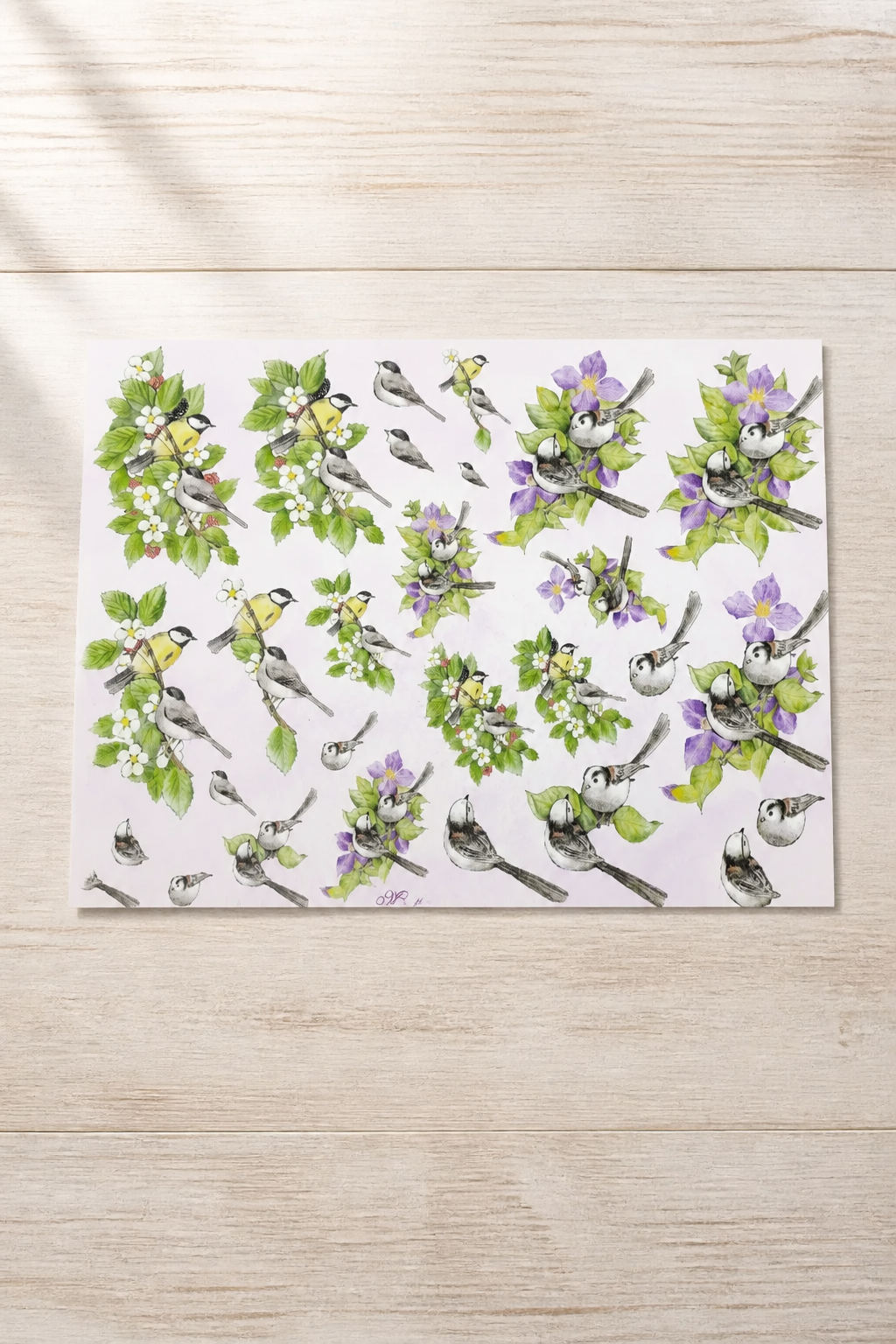 A4 DECORATED PAPER 15 SHEETS SALE ON 2 ITEMS PLUS ACROSS MY SHOP P&P INCLUDED TO UK CODE 254