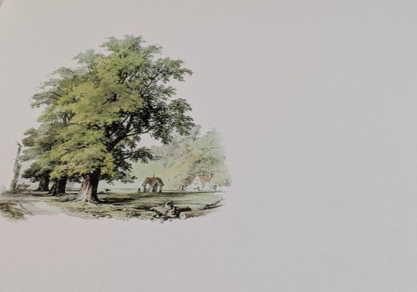 A4 DECORATED PAPER 20 SHEETS SALE ON 2 ITEMS PLUS ACROSS MY SHOP P&P INCLUDED TO UK CODE 275