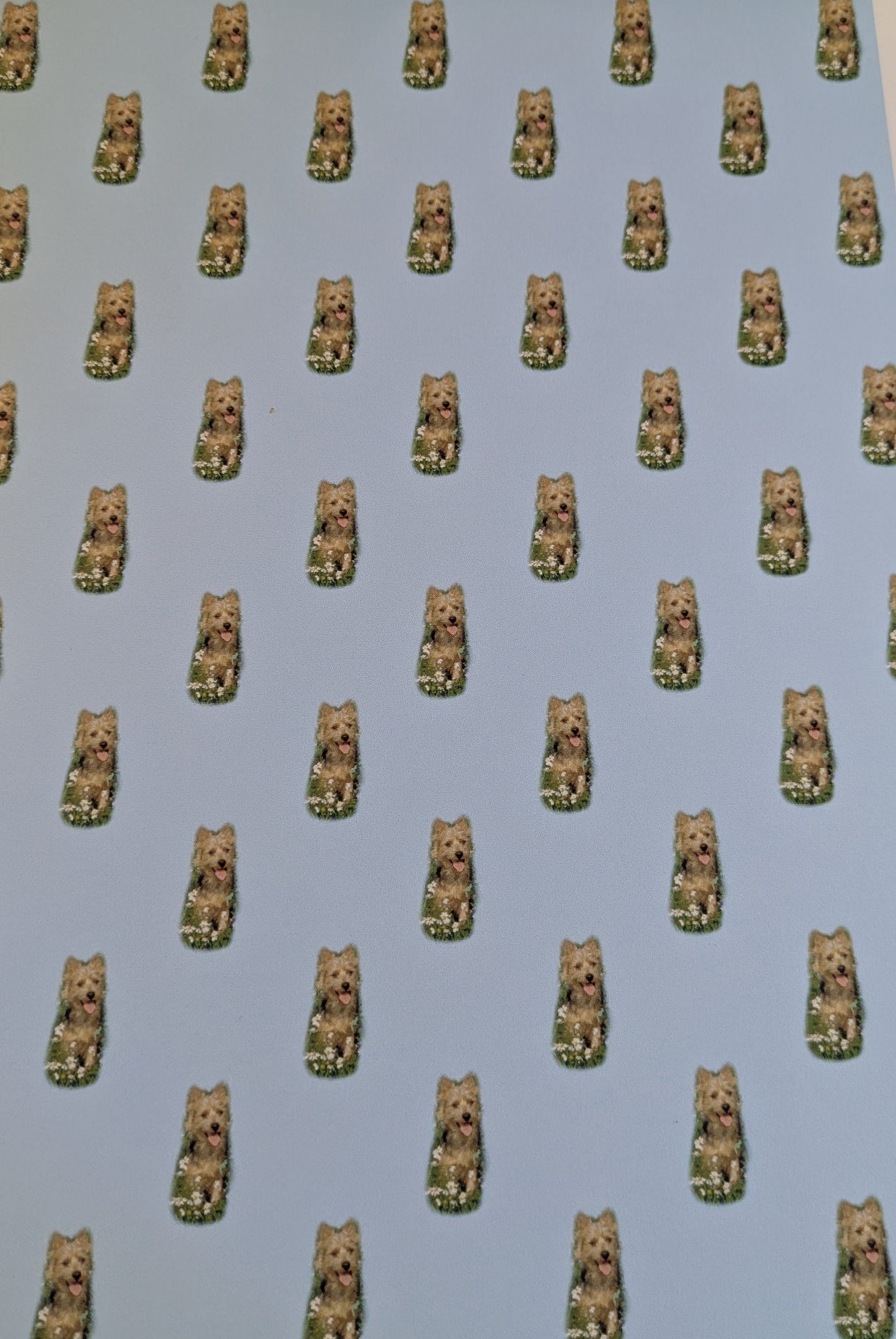 A4 DECORATED PAPER 20 SHEETS SALE ON 2 ITEMS PLUS ACROSS MY SHOP P&P INCLUDED TO UK CODE 312