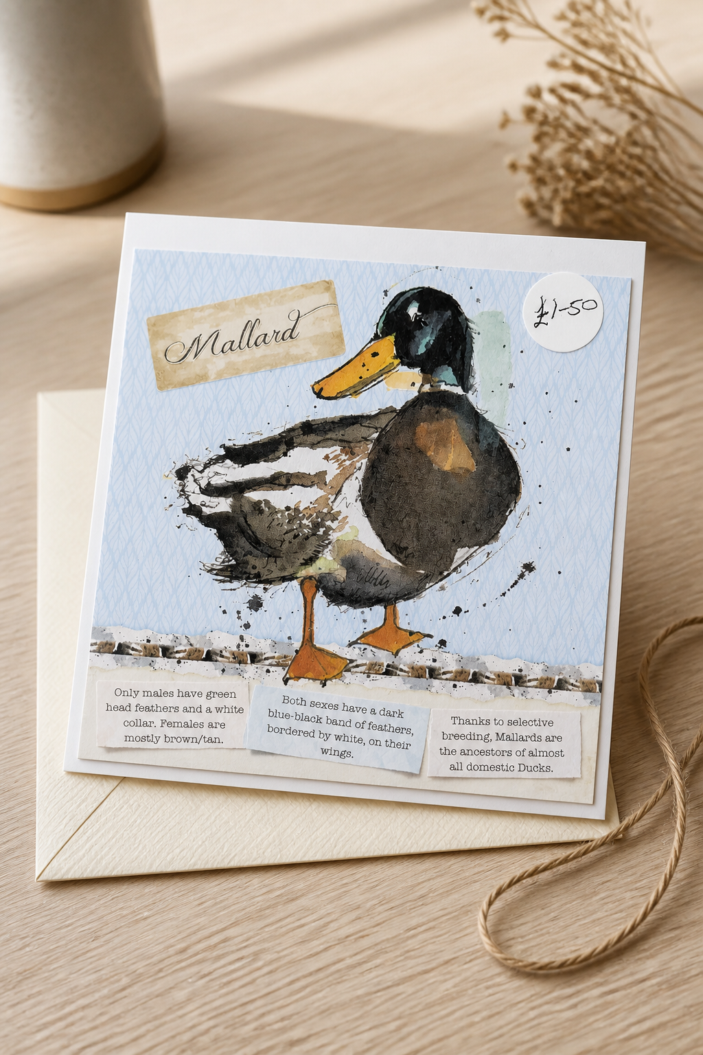 6x6 INCH BIRD CARDS HAPPY BIRTHDAY SALE ON TWO ITEMS PLUS ACROSS Y SHOP INCLUDING P&P TO UK CODE 27