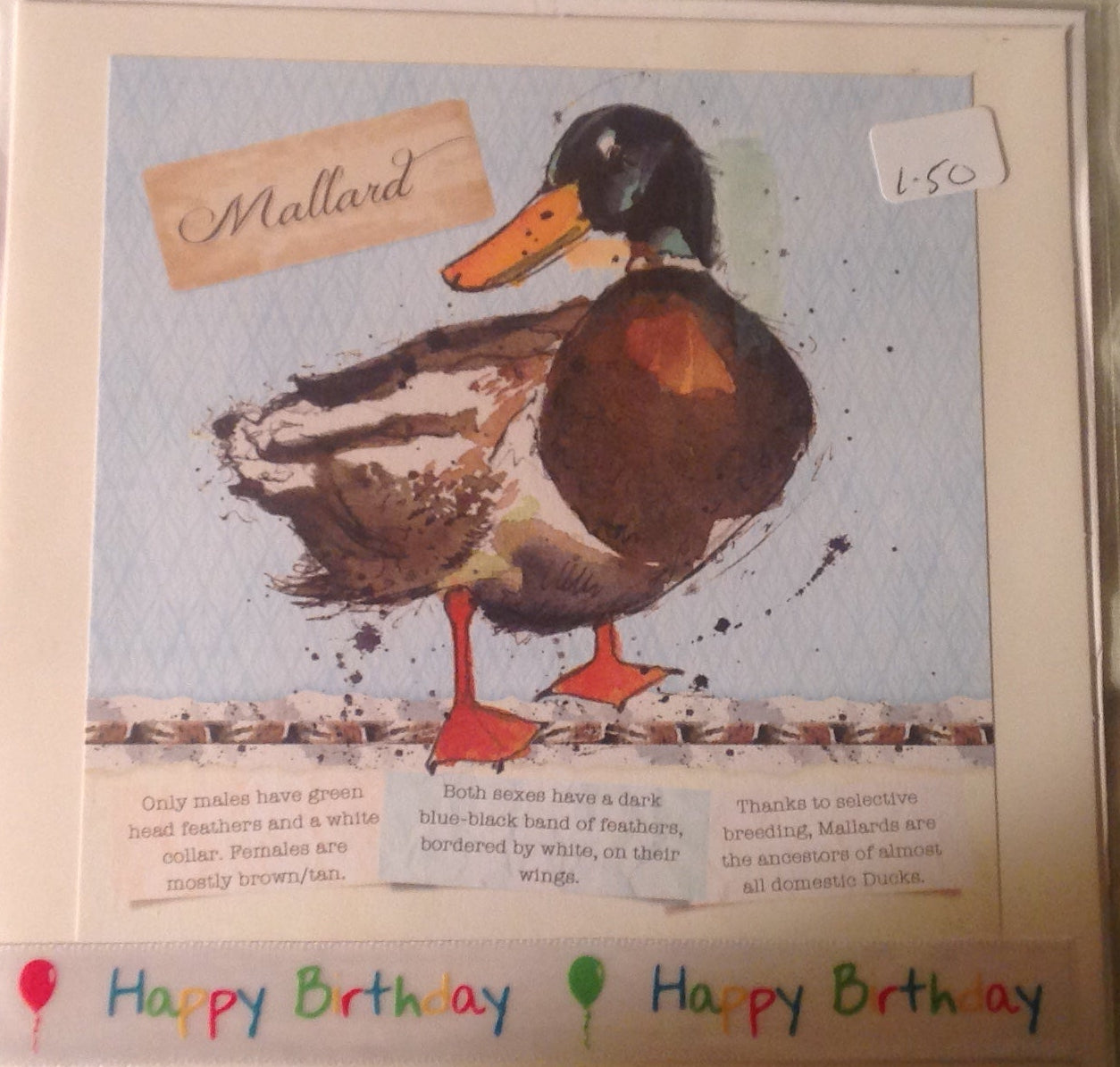 6x6 INCH BIRD CARDS HAPPY BIRTHDAY INCLUDING P&P TO UK CODE 27