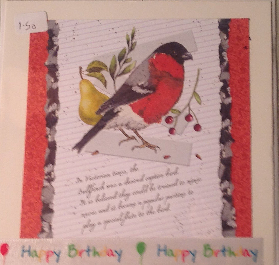 6x6 INCH BIRD CARDS HAPPY BIRTHDAY INCLUDING P&P TO UK CODE 33