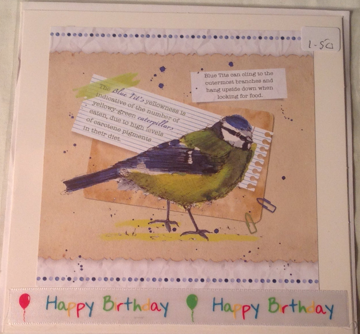 6x6 INCH BIRD CARDS HAPPY BIRTHDAY INCLUDING P&P TO UK CODE 35