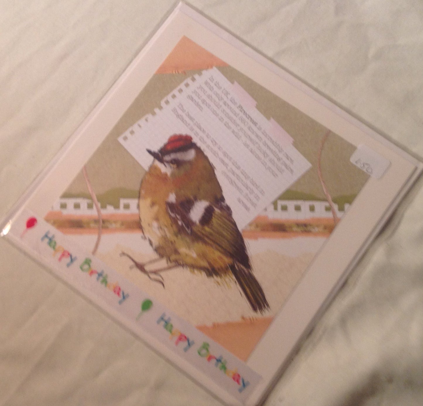 6x6 INCH BIRD CARDS HAPPY BIRTHDAY INCLUDING P&P TO UK CODE 39