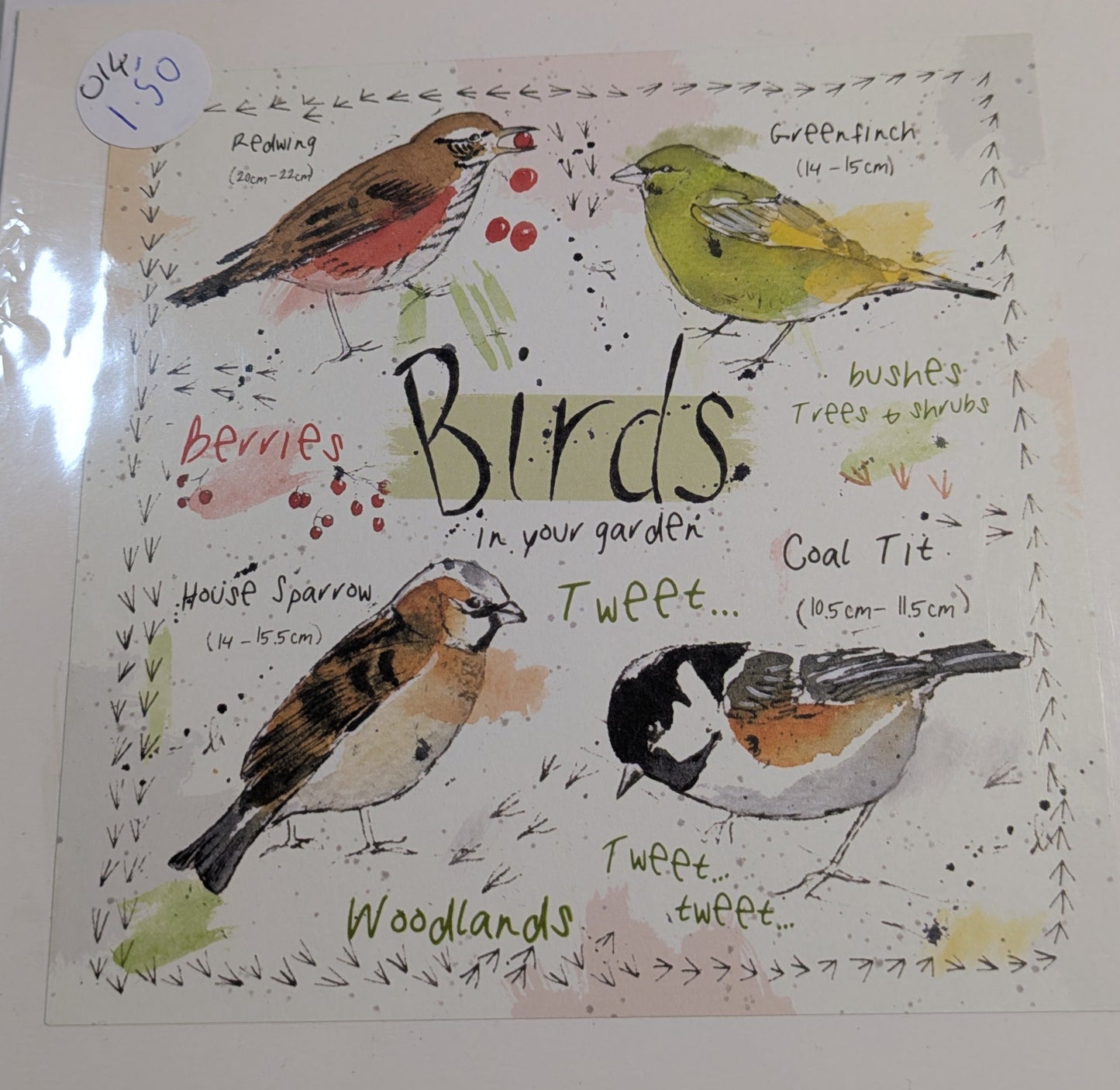 HAND MADE 6x6 INCH BIRD CARDS SALE ON 2 ITEMS ACROSS MY SHOP INCLUDING P&P TO UK CODE 3