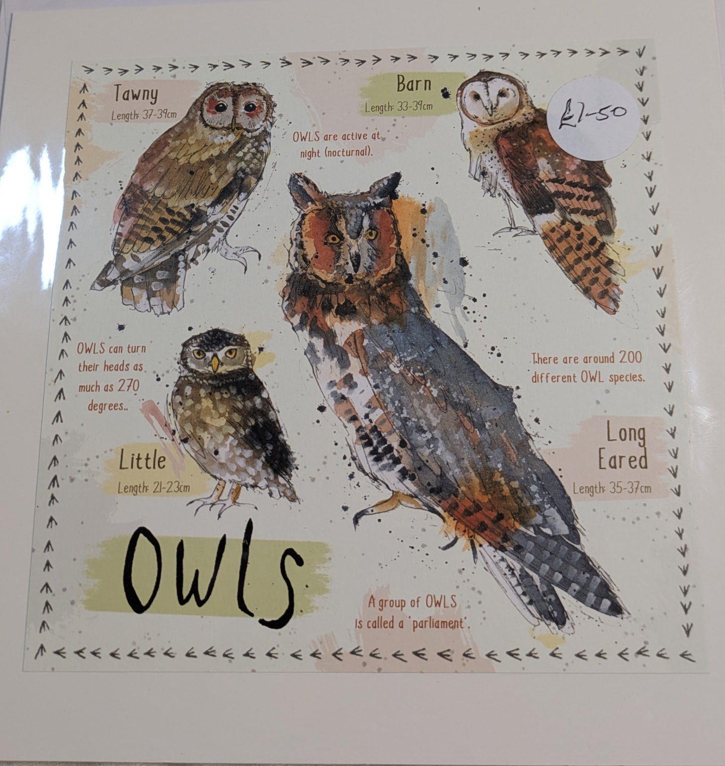 HAND MADE 6x6 INCH BIRD CARDS SALE ON 2 ITEMS ACROSS MY SHOP INCLUDING P&P TO UK CODE 5