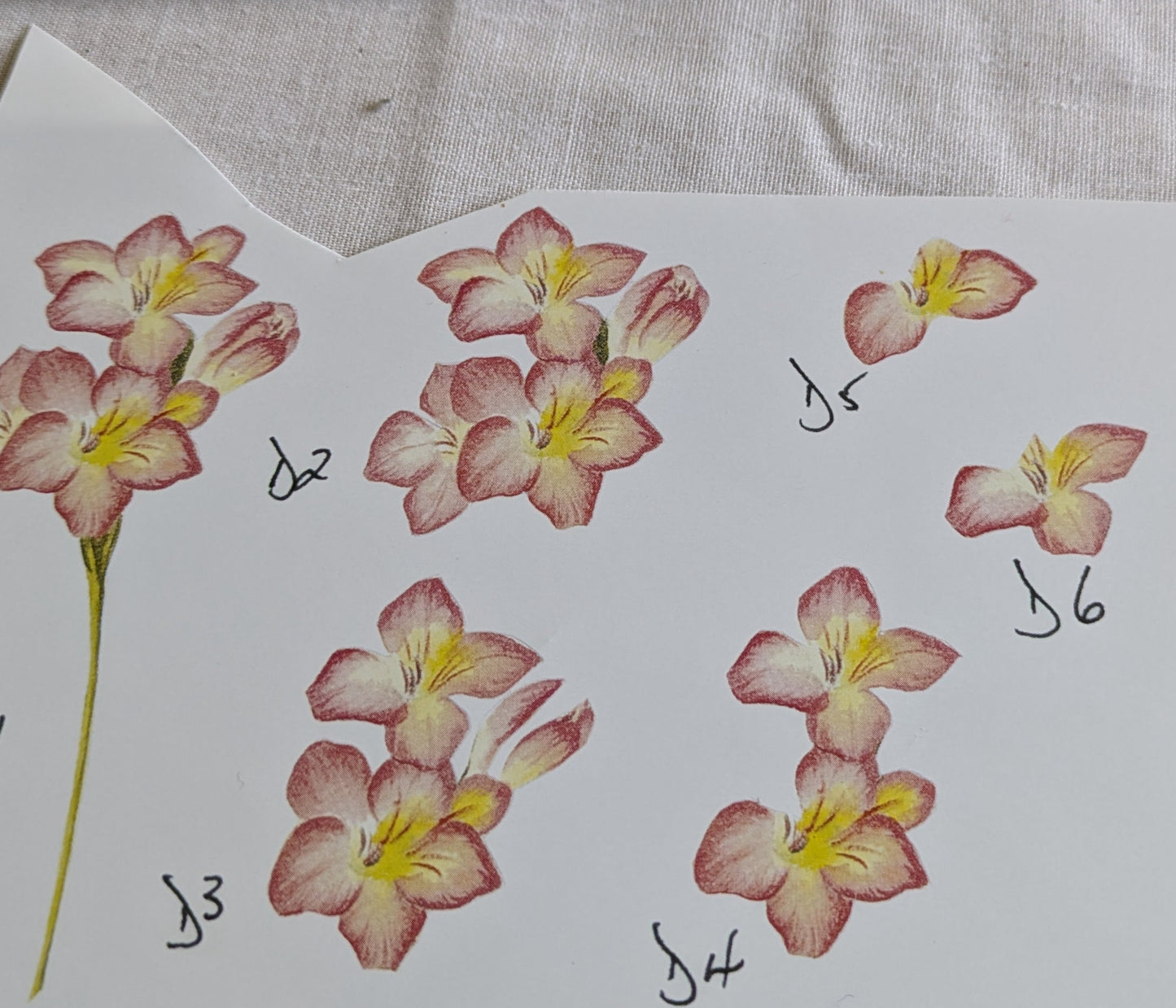 BUY 2 6X6 INCH 3D CARD KITS SALE ON TWO ITEMS PLUS ACROSS MY SHOP P&P INCLUDED TO UK CODE 194