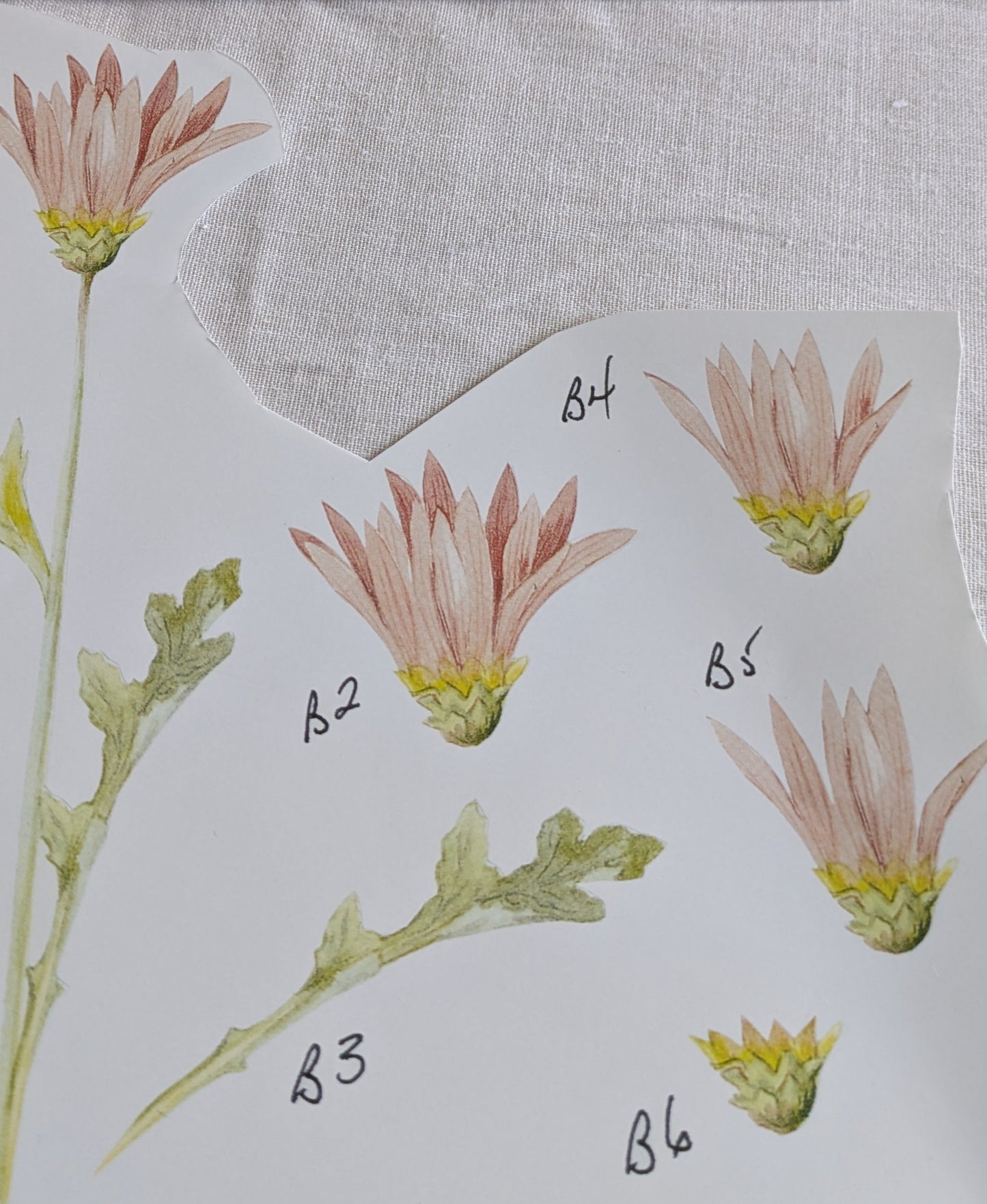 BUY 2 6X6 INCH 3D CARD KITS SALE ON TWO ITEMS PLUS ACROSS MY SHOP P&P INCLUDED TO UK CODE 233