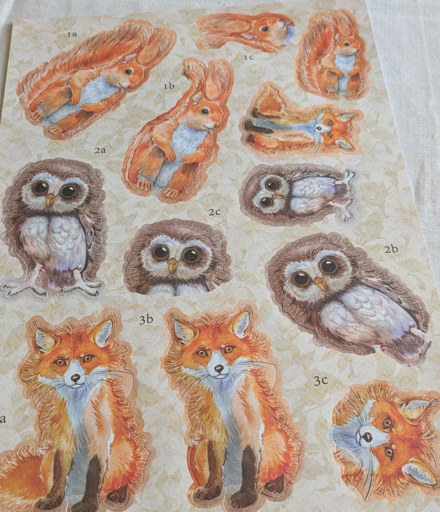 BUY 2 6X6 INCH 3D CARD KITS SALE ON TWO ITEMS PLUS ACROSS MY SHOP P&P INCLUDED TO UK  CODE 249