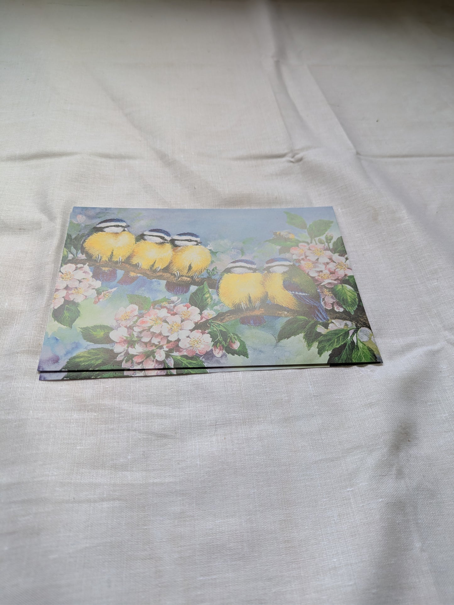 BUY 2 6X6 INCH CARD KITS SALE ON TWO ITEMS PLUS ACROSS MY SHOP P&P INCLUDED CODE 146