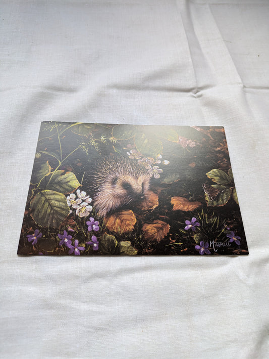BUY 2 6X6 INCH CARD KITS SALE ON TWO ITEMS PLUS ACROSS MY SHOP P&P INCLUDED CODE 147