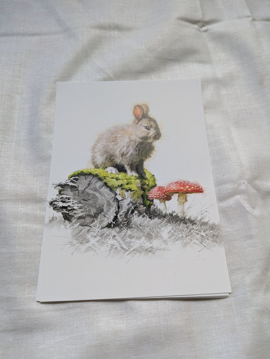 BUY 2 6X6 INCH CARD KITS SALE ON TWO ITEMS PLUS ACROSS MY SHOP P&P INCLUDED CODE 149