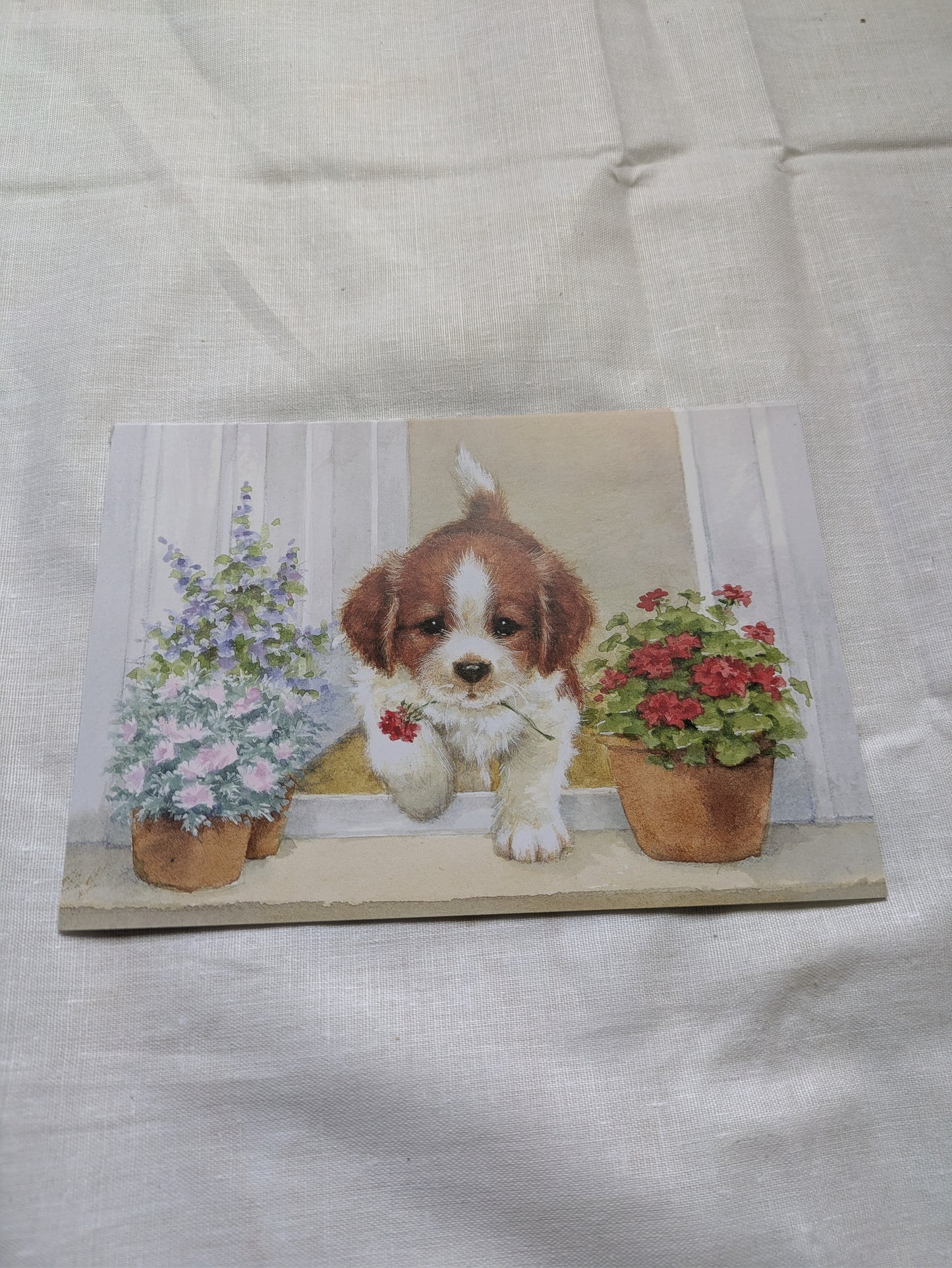 BUY 2 6X6 INCH CARD KITS SALE ON TWO ITEMS PLUS ACROSS MY SHOP P&P INCLUDED CODE 155
