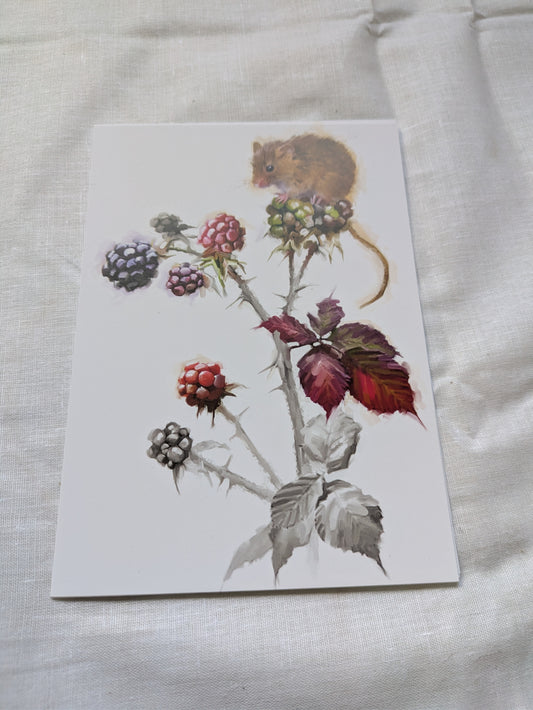 BUY 2 6X6 INCH CARD KITS SALE ON TWO ITEMS PLUS ACROSS MY SHOP P&P INCLUDED CODE 158