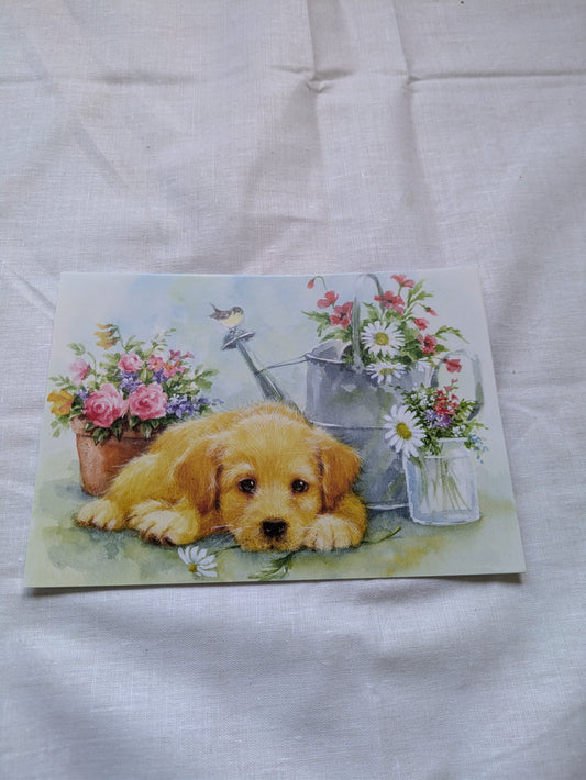 BUY 2 6X6 INCH CARD KITS SALE ON TWO ITEMS PLUS ACROSS MY SHOP P&P INCLUDED CODE 160