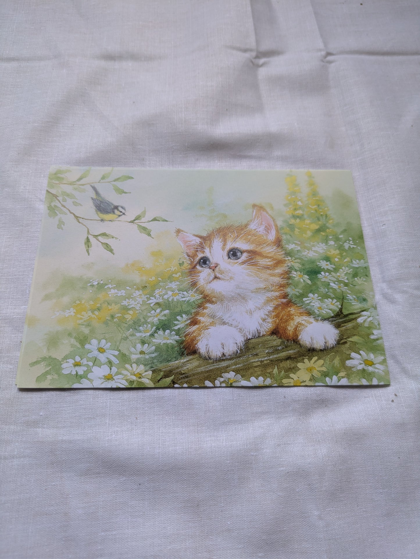 BUY 2 6X6 INCH CARD KITS SALE ON TWO ITEMS PLUS ACROSS MY SHOP P&P INCLUDED CODE 161