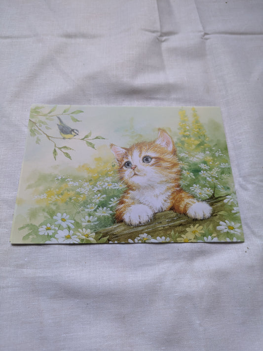 BUY 2 6X6 INCH CARD KITS SALE ON TWO ITEMS PLUS ACROSS MY SHOP P&P INCLUDED CODE 161