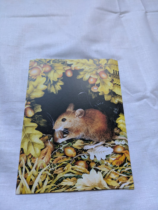 BUY 2 6X6 INCH CARD KITS SALE ON TWO ITEMS PLUS ACROSS MY SHOP P&P INCLUDED CODE  164