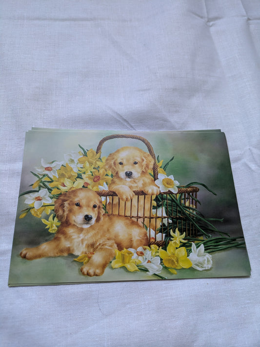 BUY 2 6X6 INCH CARD KITS SALE ON TWO ITEMS PLUS ACROSS MY SHOP P&P INCLUDED CODE  165