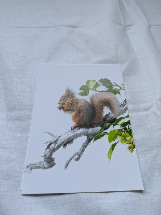 BUY 2 6X6 INCH CARD KITS SALE ON TWO ITEMS PLUS ACROSS MY SHOP P&P INCLUDED CODE 166