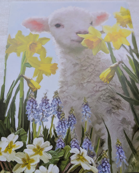 BUY 2 6X6 INCH CARD KITS SALE ON TWO ITEMS PLUS ACROSS MY SHOP P&P INCLUDED TO UK CODE 248