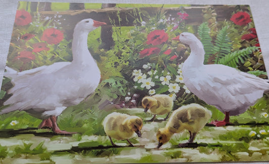 BUY 2 6X6 INCH CARD KITS SALE ON TWO ITEMS PLUS ACROSS MY SHOP P&P INCLUDED TO UK CODE 249