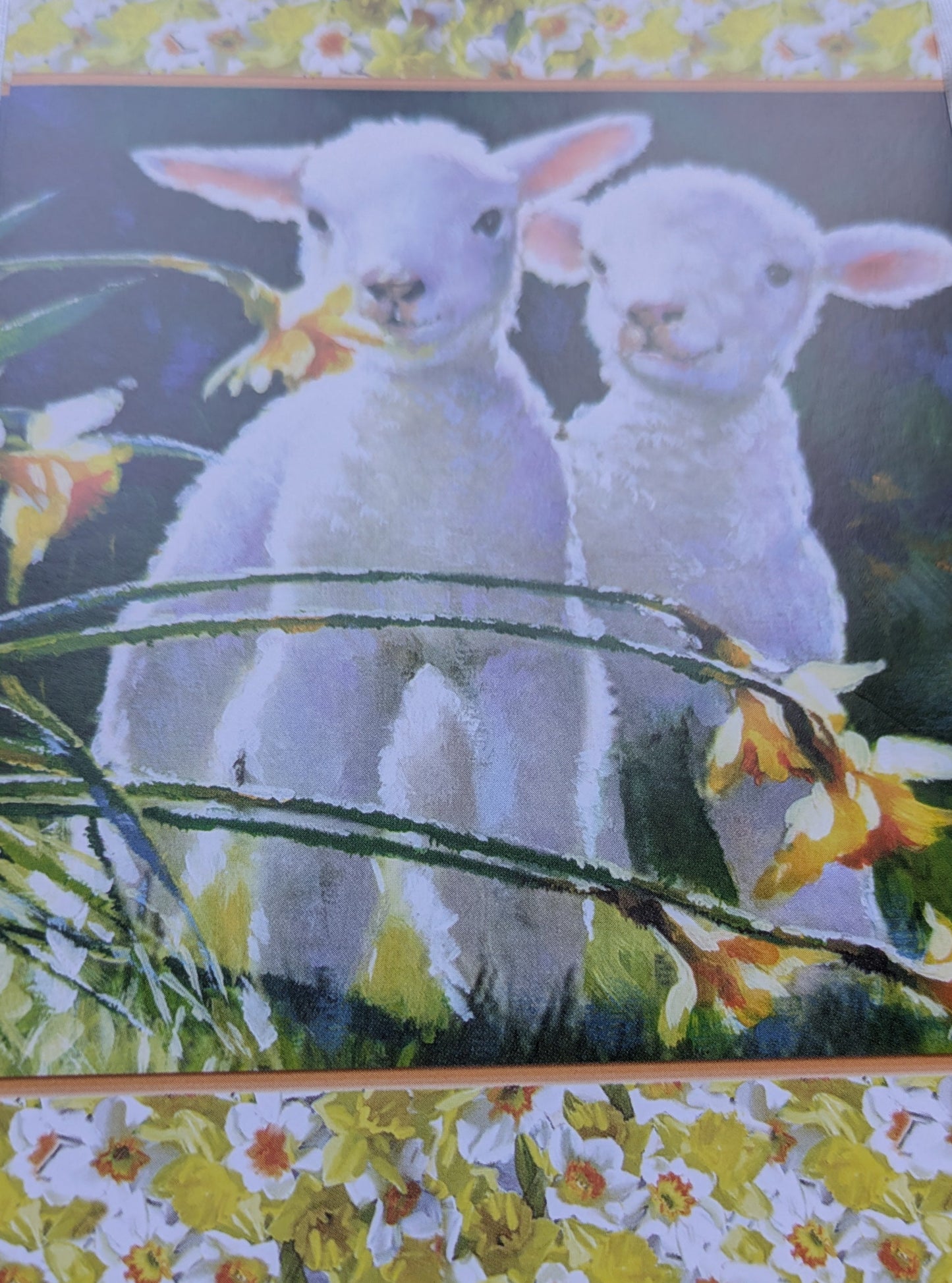 BUY 2 6X6 INCH CARD KITS SALE ON TWO ITEMS PLUS ACROSS MY SHOP P&P INCLUDED TO UK CODE 255