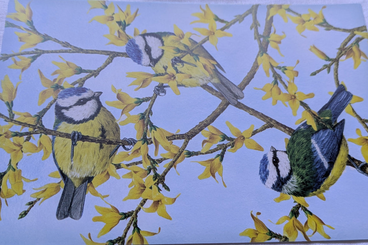 BUY 2 6X6 INCH CARD KITS SALE ON TWO ITEMS PLUS ACROSS MY SHOP P&P INCLUDED TO UK CODE 269