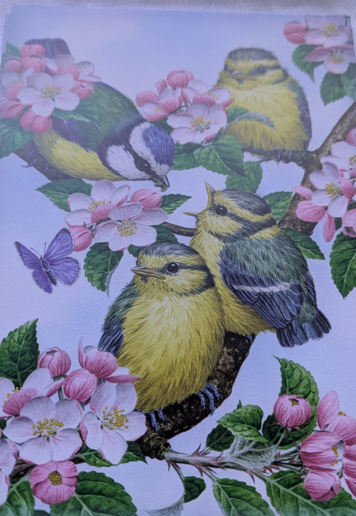 BUY 2 6X6 INCH CARD KITS SALE ON TWO ITEMS PLUS ACROSS MY SHOP P&P INCLUDED TO UK CODE 275