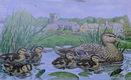 BUY 2 6X6 INCH CARD KITS SALE ON TWO ITEMS PLUS ACROSS MY SHOP P&P INCLUDED TO UK CODE 278