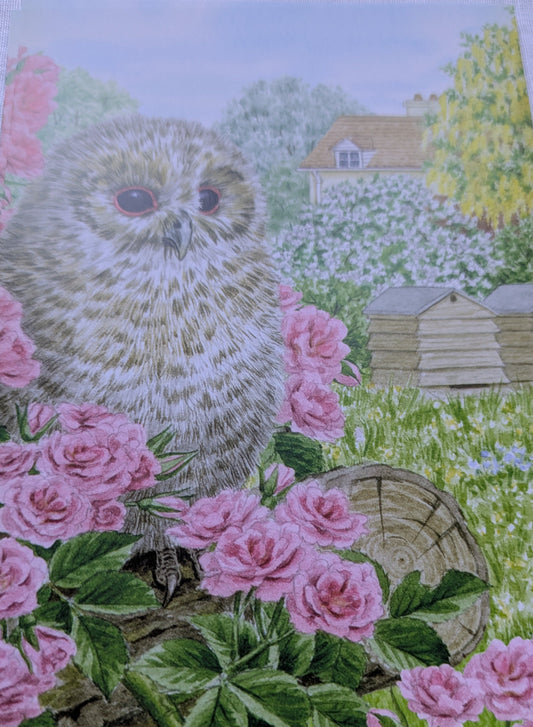 BUY 2 6X6 INCH CARD KITS SALE ON TWO ITEMS PLUS ACROSS MY SHOP P&P INCLUDED TO UK CODE 279