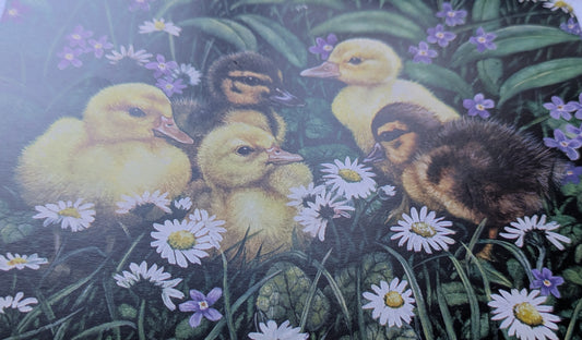 BUY 2 6X6 INCH CARD KITS SALE ON TWO ITEMS PLUS ACROSS MY SHOP P&P INCLUDED TO UK CODE 281