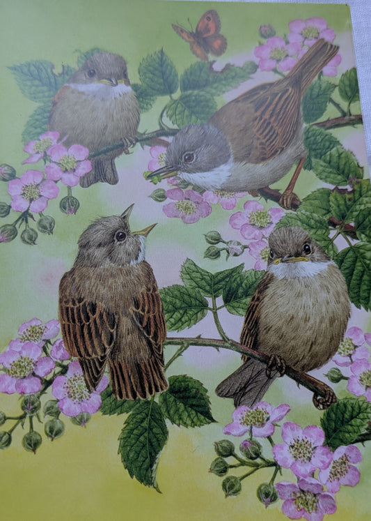 BUY 2 6X6 INCH CARD KITS SALE ON TWO ITEMS PLUS ACROSS MY SHOP P&P INCLUDED TO UK CODE 286