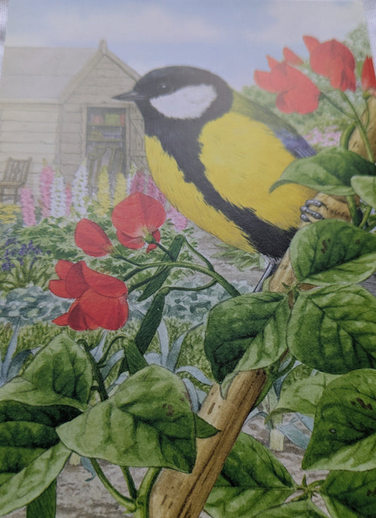 BUY 2 6X6 INCH CARD KITS SALE ON TWO ITEMS PLUS ACROSS MY SHOP P&P INCLUDED TO UK CODE 292