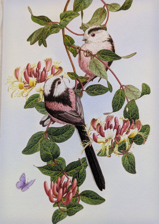 BUY 2 6X6 INCH CARD KITS SALE ON TWO ITEMS PLUS ACROSS MY SHOP P&P INCLUDED TO UK CODE 297